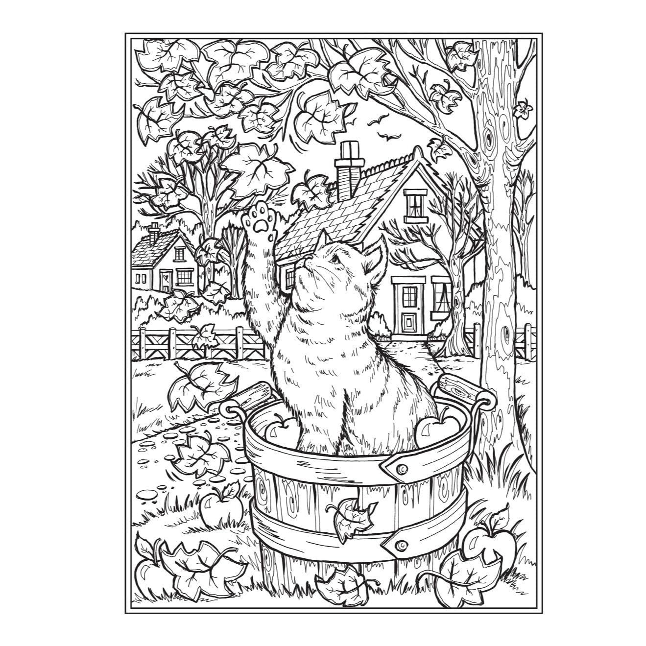 Creative Haven Autumn Harvest Coloring Book
