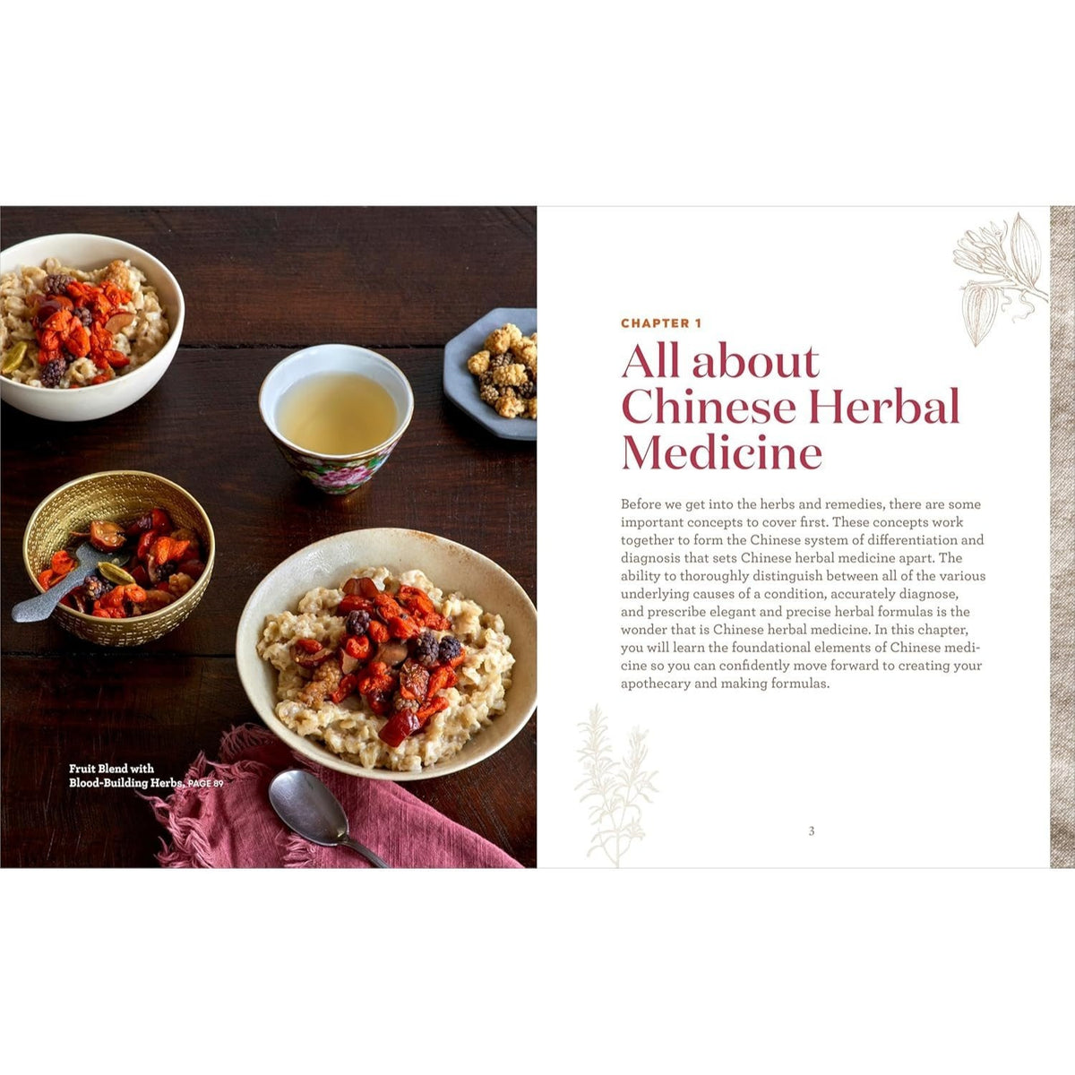 Chinese Herbal Medicine for Beginners: Over 100 Remedies for Wellness and Balance