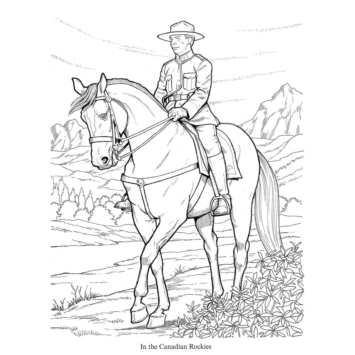 Wonderful World of Horses Coloring Book (Spiral Bound)