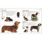 The Complete Dog Breed Book, New Edition (Previously Published as Top Dog) (DK Definitive Pet Breed Guides) (Spiral Bound)