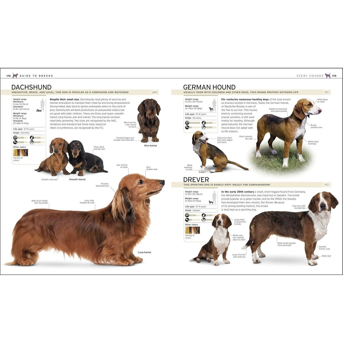 The Complete Dog Breed Book, New Edition (Previously Published as Top Dog) (DK Definitive Pet Breed Guides) (Spiral Bound)