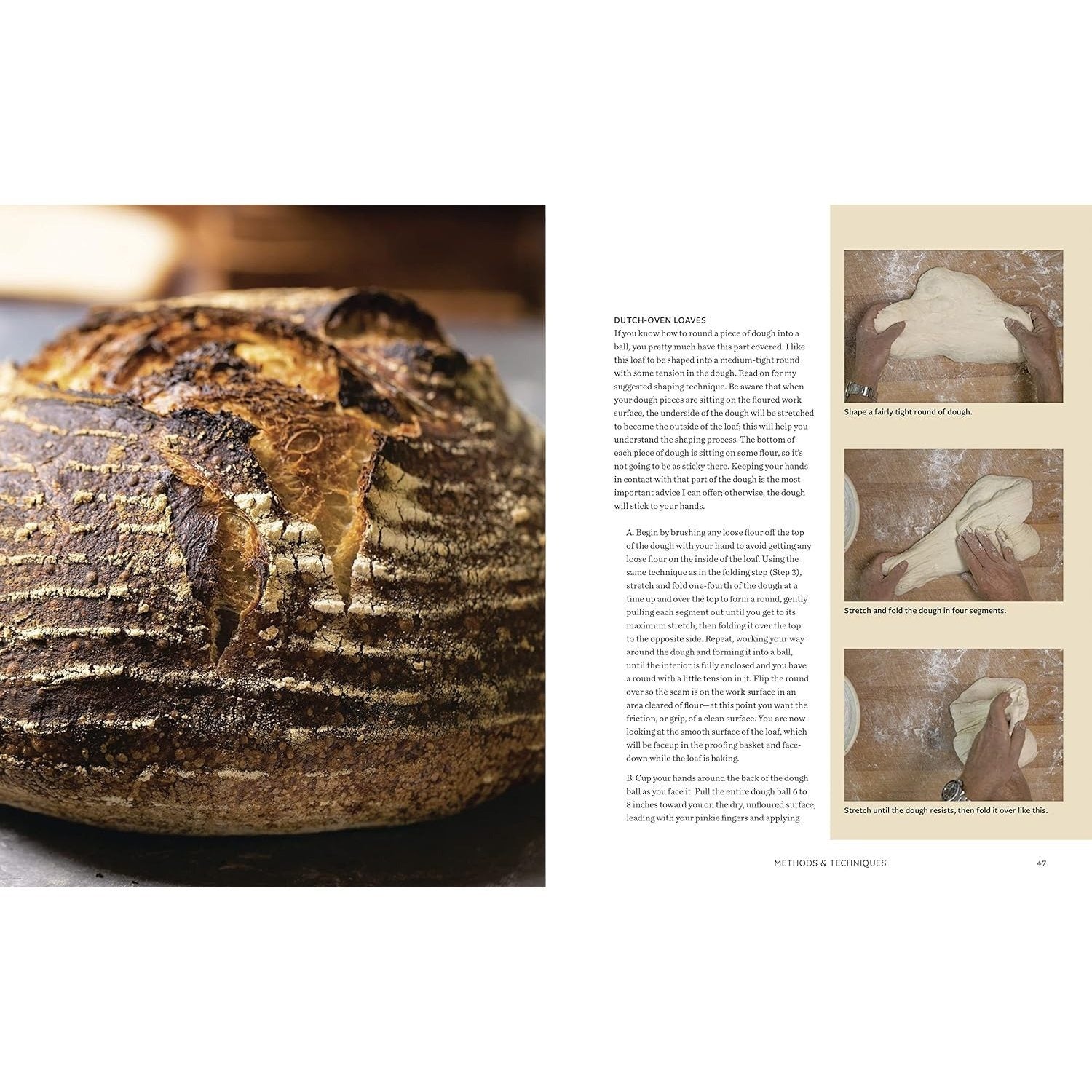 Evolutions in Bread: Artisan Pan Breads and Dutch-Oven Loaves at Home [A Baking Book] (Spiral Bound)