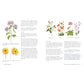 Wildflower Watercolor: The Beginner's Guide to Painting Beautiful Florals