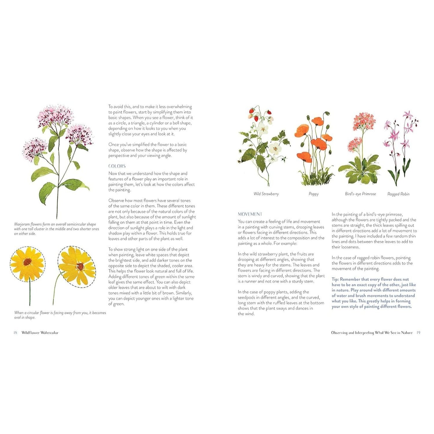 Wildflower Watercolor: The Beginner's Guide to Painting Beautiful Florals