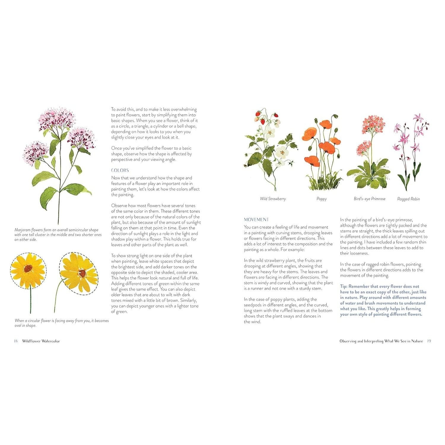 Wildflower Watercolor: The Beginner's Guide to Painting Beautiful Florals