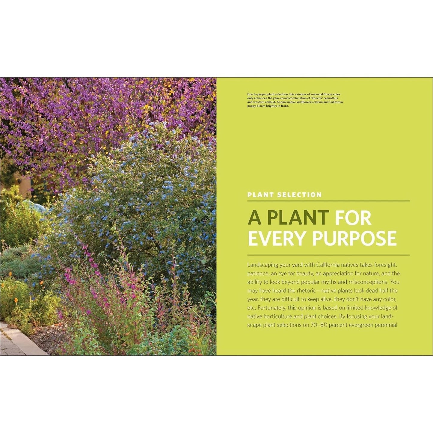 The Drought-Defying California Garden: 230 Native Plants for a Lush, Low-Water Landscape