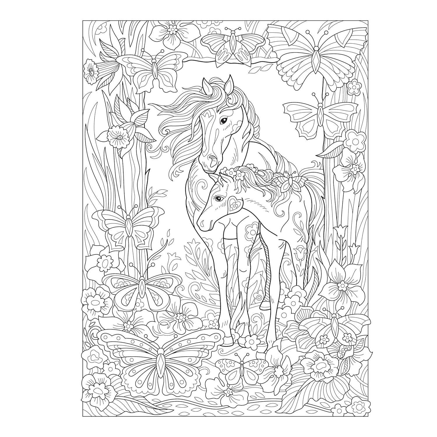 Creative Haven Dream Horses Coloring Book