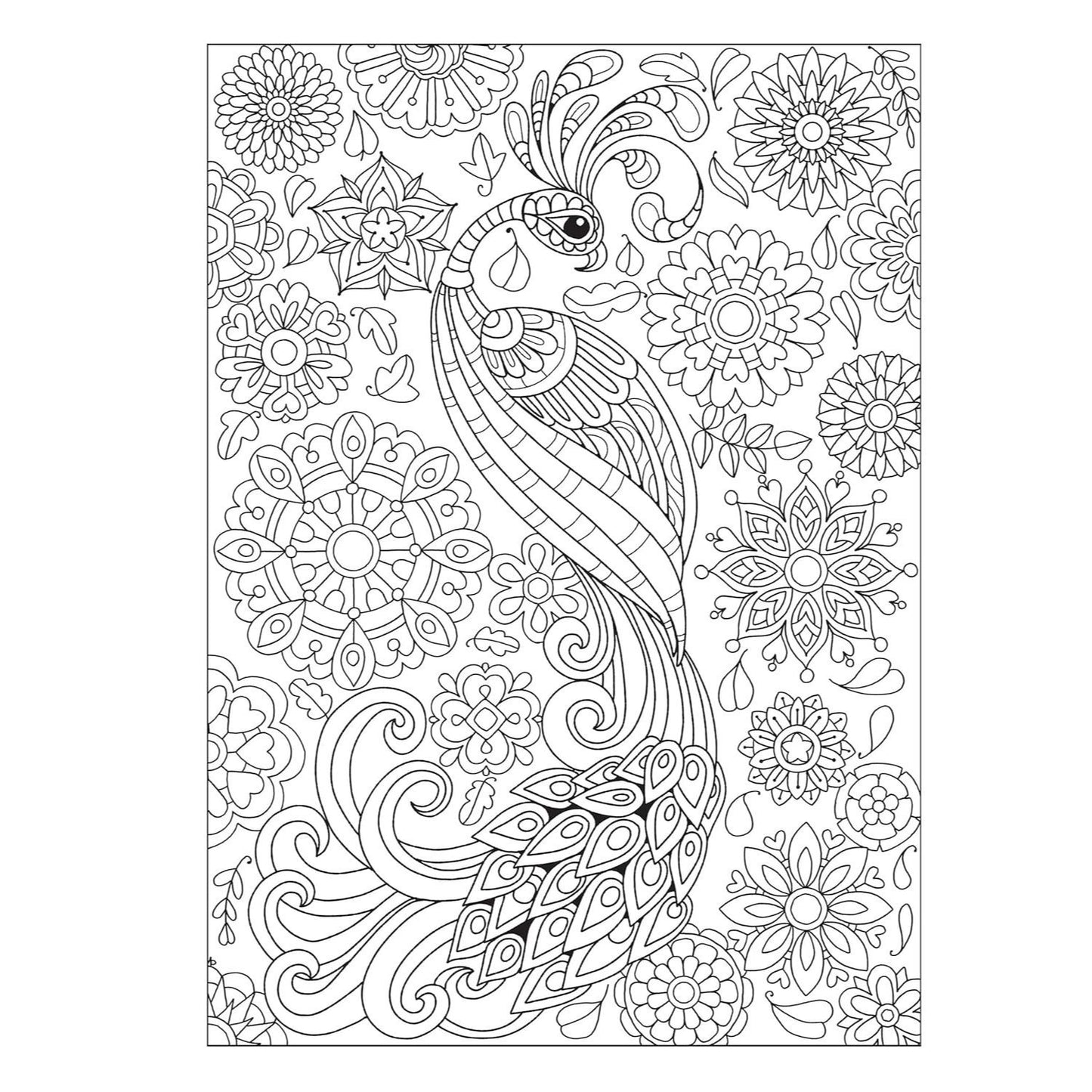 Creative Haven Fanciful Birds Coloring Book