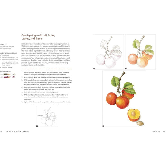 The Joy of Botanical Drawing: A Step-By-Step Guide to Drawing and Painting Flowers, Leaves, Fruit, and More
