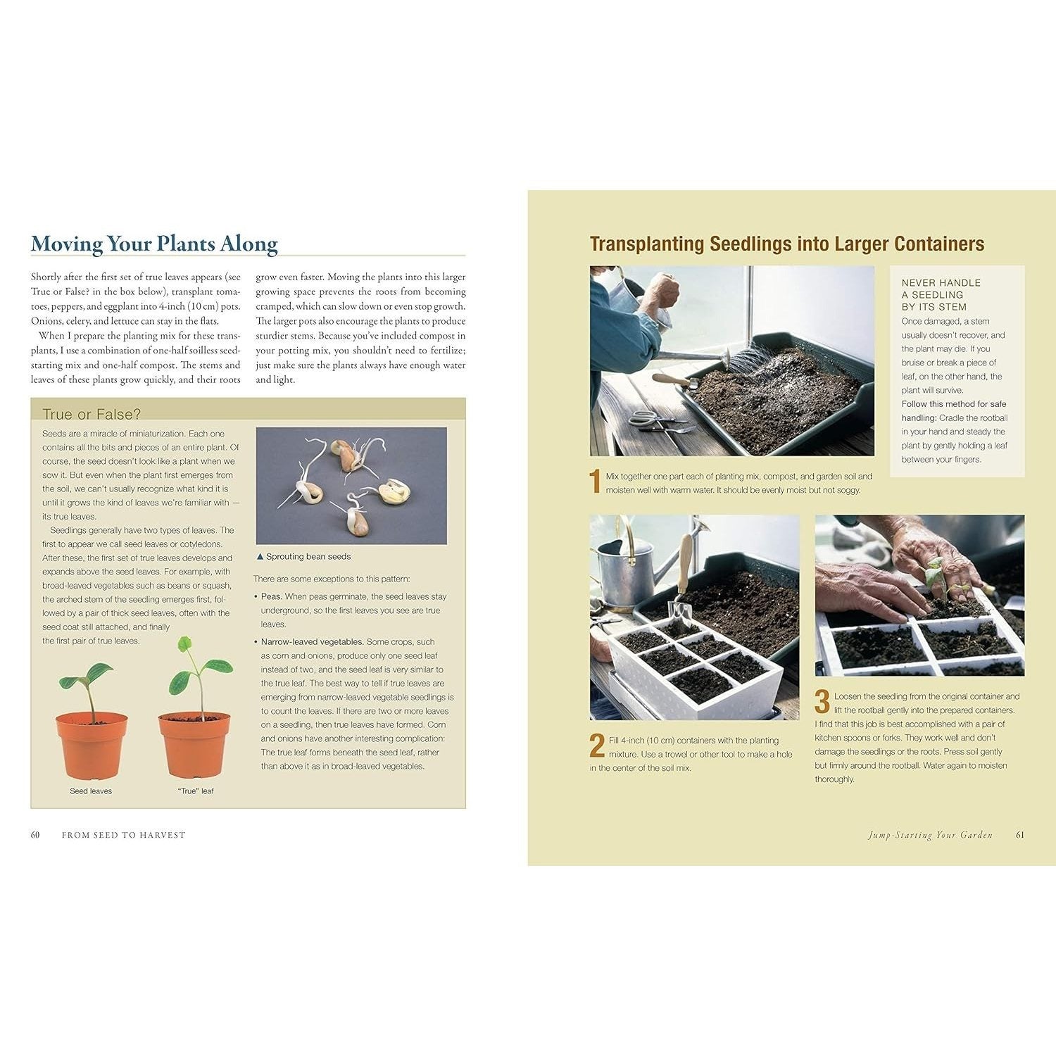 The Vegetable Gardener's Bible, 2nd Edition: Discover Ed's High-Yield W-O-R-D System for All North American Gardening Regions: Wide Rows, Organic Methods, (10TH ed.) (Spiral Bound)