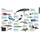 The Total Fishing Manual (Paperback Edition): 318 Essential Fishing Skills (Spiral Bound)