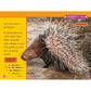 Animal Armor (National Geographic Kids Readers, Level 1)