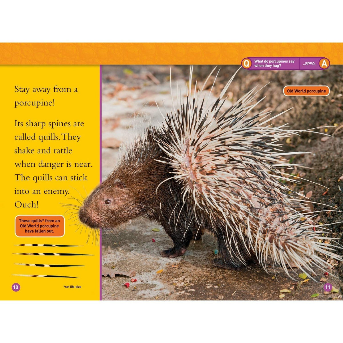 Animal Armor (National Geographic Kids Readers, Level 1)