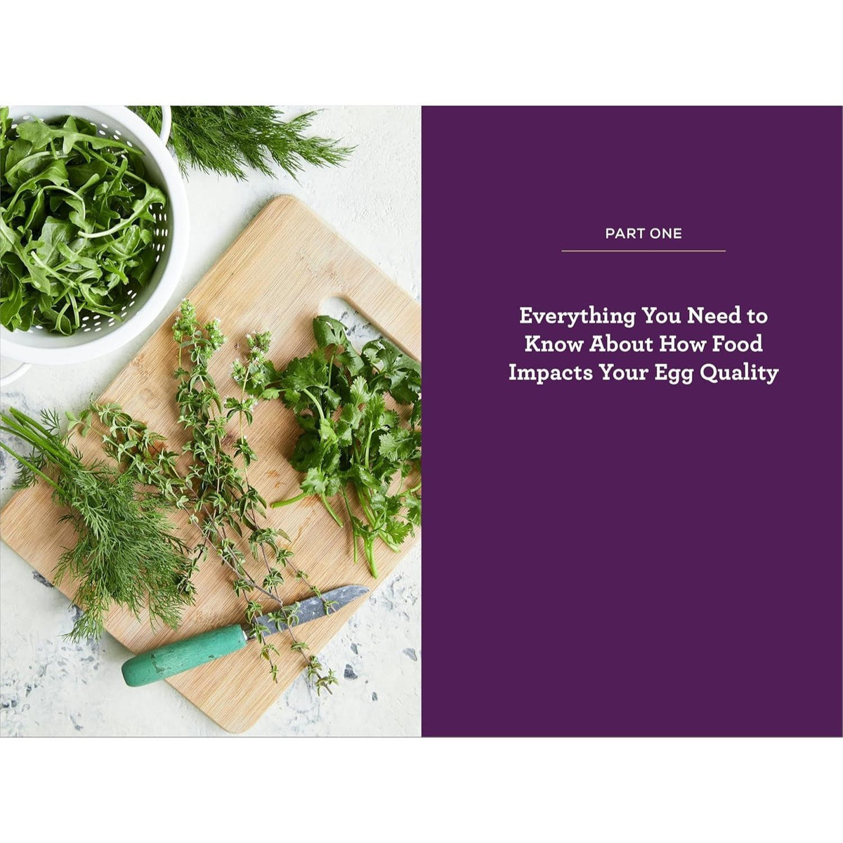 Ivf Meal Plan: Maximize Your Chances of Ivf Success Through Diet