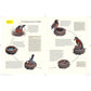 What It's Like to Be a Bird: From Flying to Nesting, Eating to Singing--What Birds Are Doing, and Why (Spiral Bound)