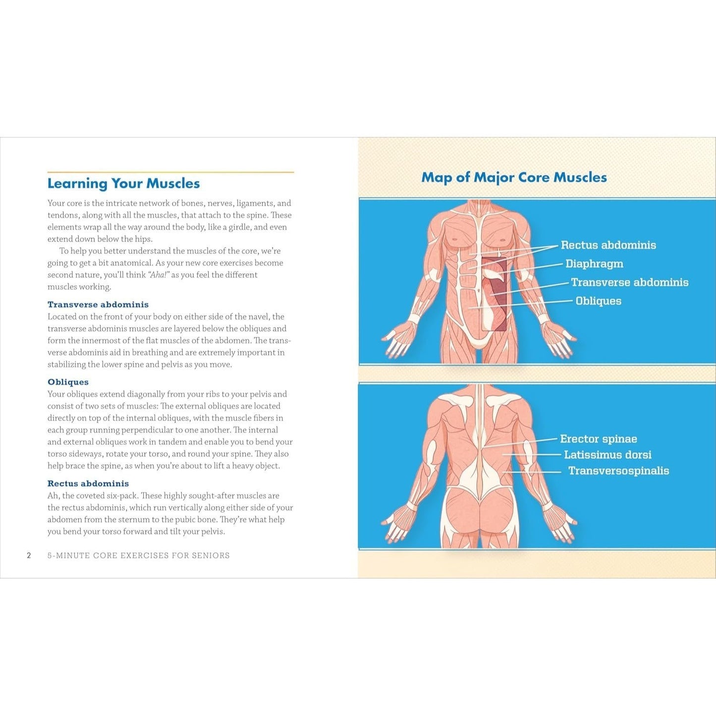 5-Minute Core Exercises for Seniors: Daily Routines to Build Balance and Boost Confidence (Spiral Bound)