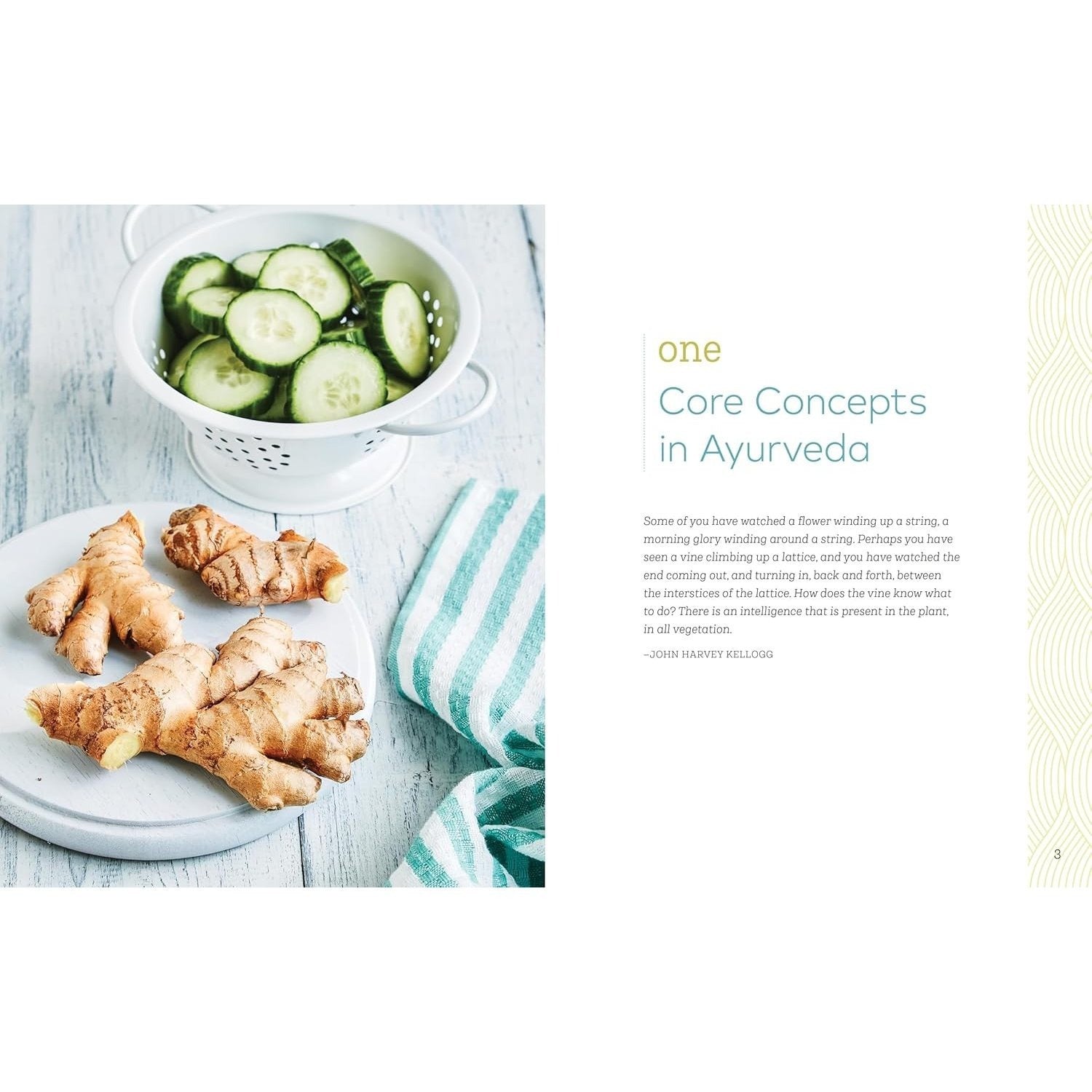 Ayurveda Cooking for Beginners: An Ayurvedic Cookbook to Balance and Heal