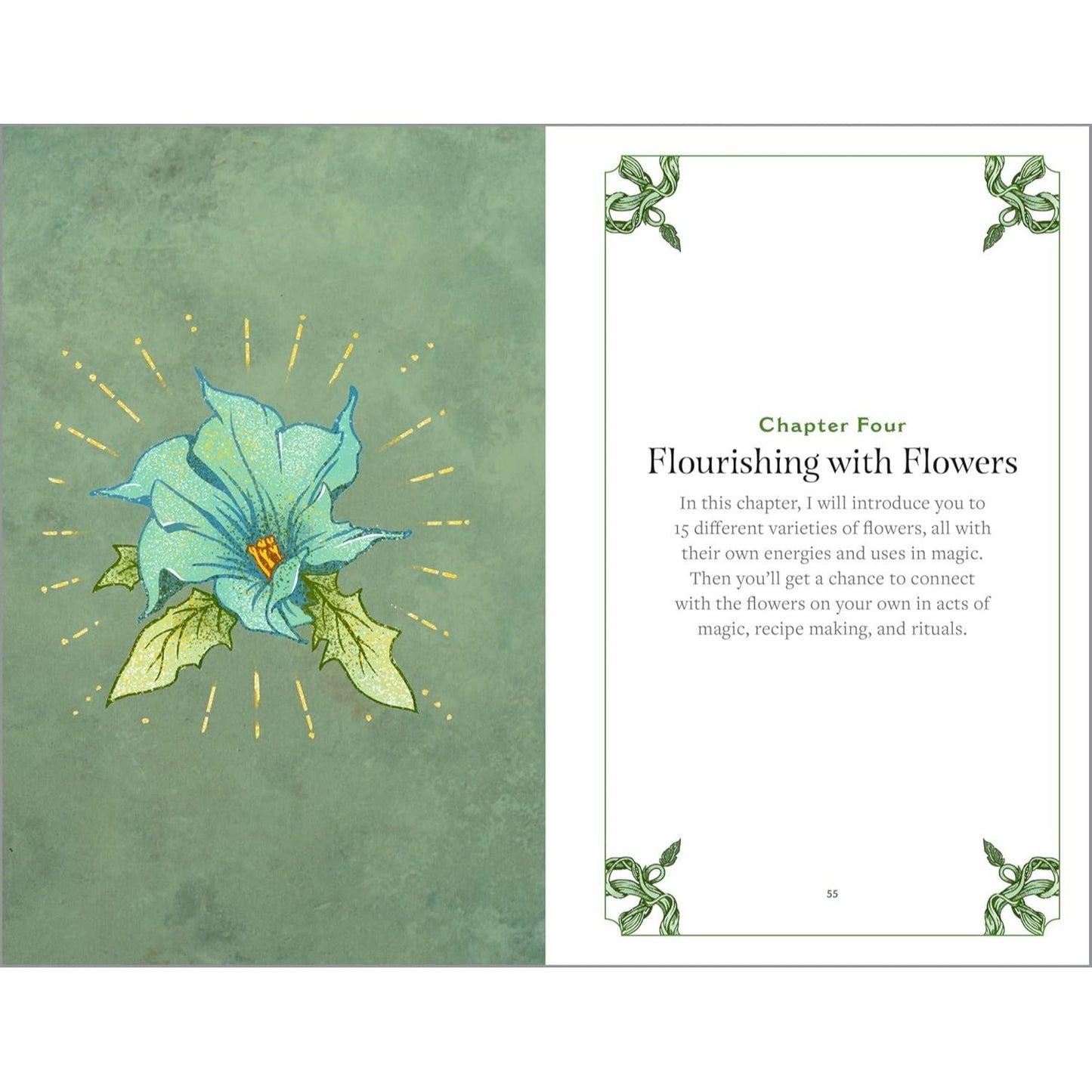 Green Witchcraft: A Practical Guide to Discovering the Magic of Plants, Herbs, Crystals, and Beyond