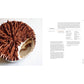 Zoë Bakes Cakes: Everything You Need to Know to Make Your Favorite Layers, Bundts, Loaves, and More [A Baking Book] (Spiral Bound)