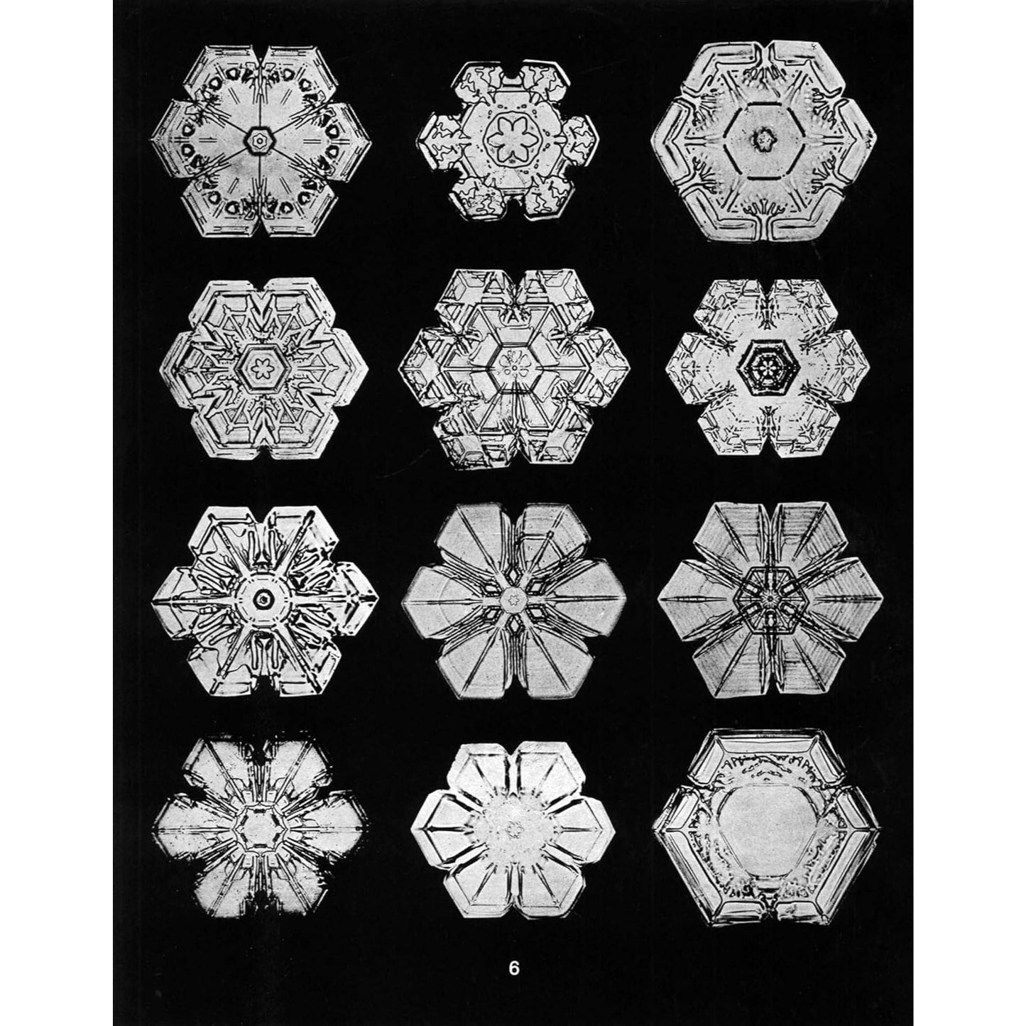 Snowflakes in Photographs