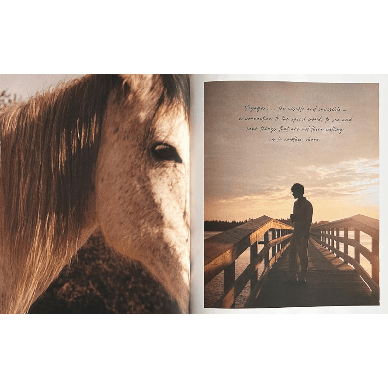 I Love You: Recipes from the Heart (a Cookbook) (Spiral Bound)