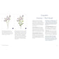 Wildflower Watercolor: The Beginner's Guide to Painting Beautiful Florals