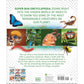 Super Bug Encyclopedia: The Biggest, Fastest, Deadliest Creepy-Crawlers on the Planet (DK Super Nature Encyclopedias) (Spiral Bound)