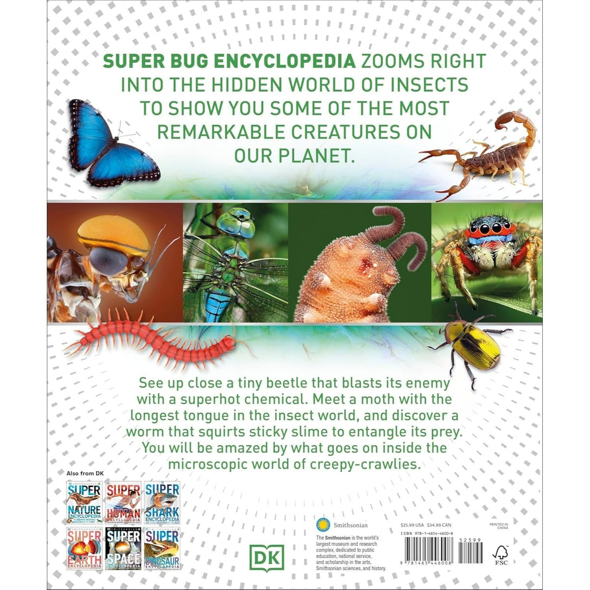 Super Bug Encyclopedia: The Biggest, Fastest, Deadliest Creepy-Crawlers on the Planet (DK Super Nature Encyclopedias) (Spiral Bound)