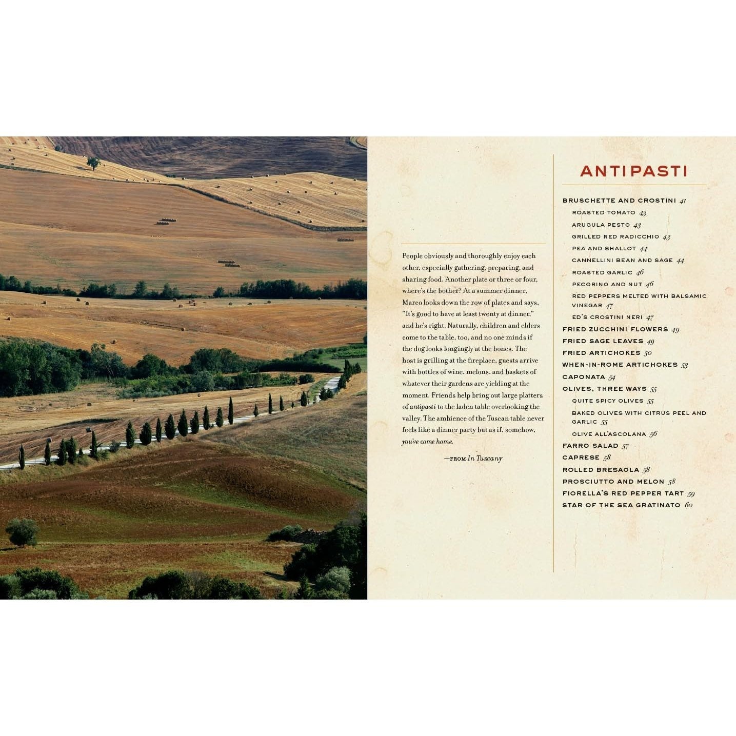 The Tuscan Sun Cookbook: Recipes from Our Italian Kitchen