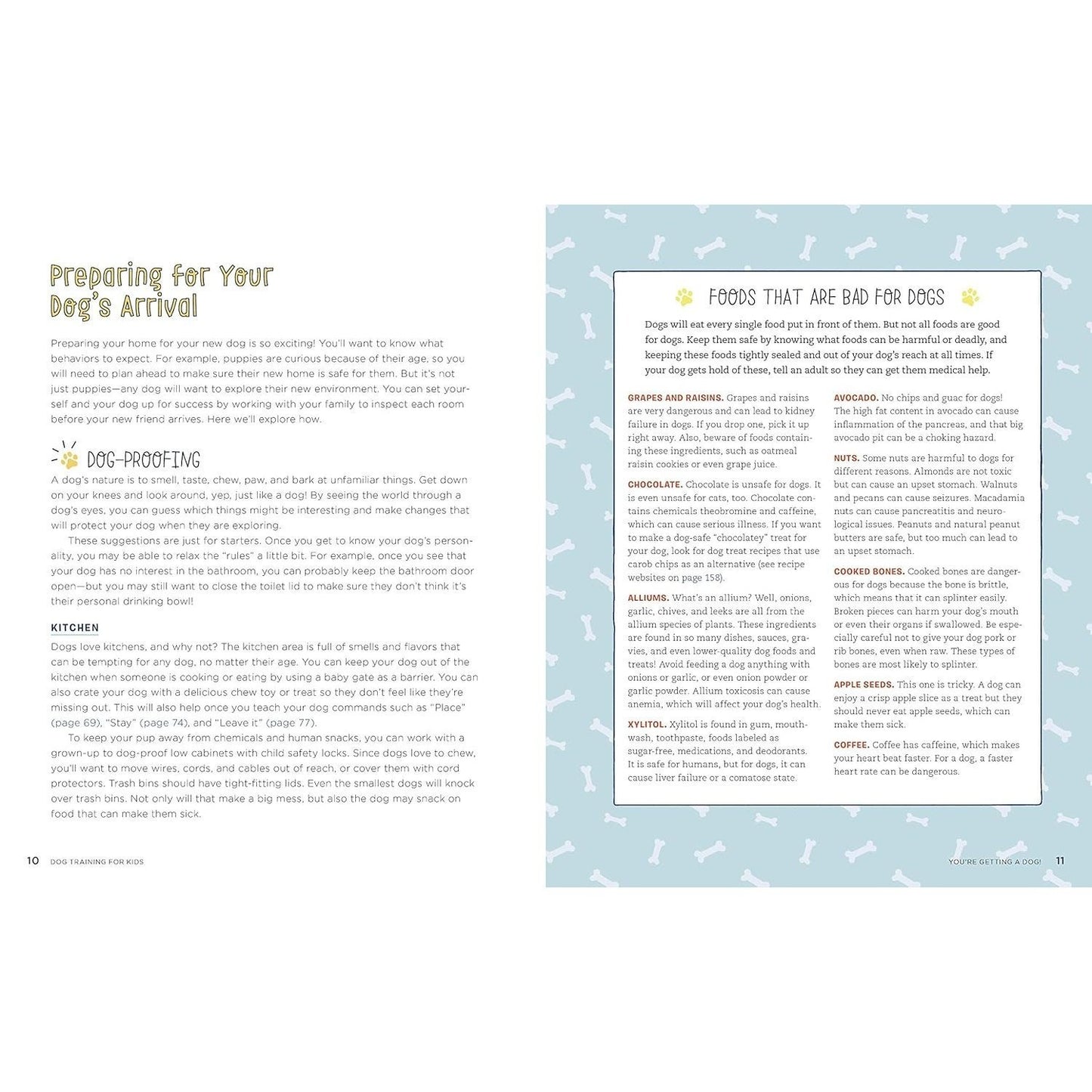 Dog Training for Kids: Fun and Easy Ways to Care for Your Furry Friend (Spiral Bound)