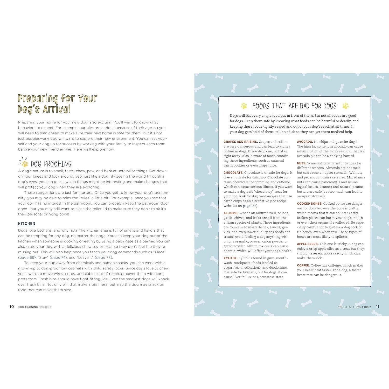 Dog Training for Kids: Fun and Easy Ways to Care for Your Furry Friend (Spiral Bound)