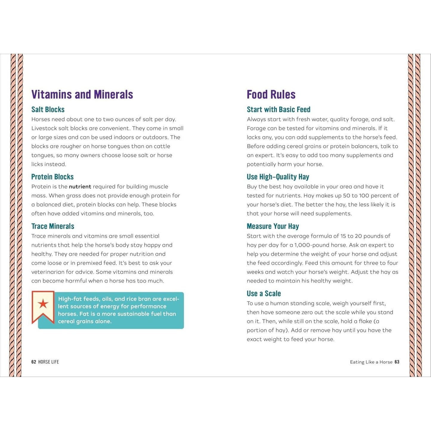 Horse Life: The Ultimate Guide to Caring for and Riding Horses for Kids
