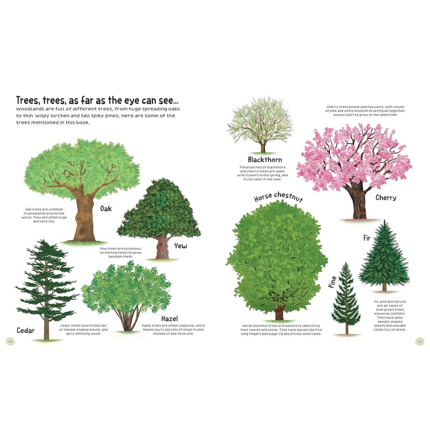 The Woodland Book