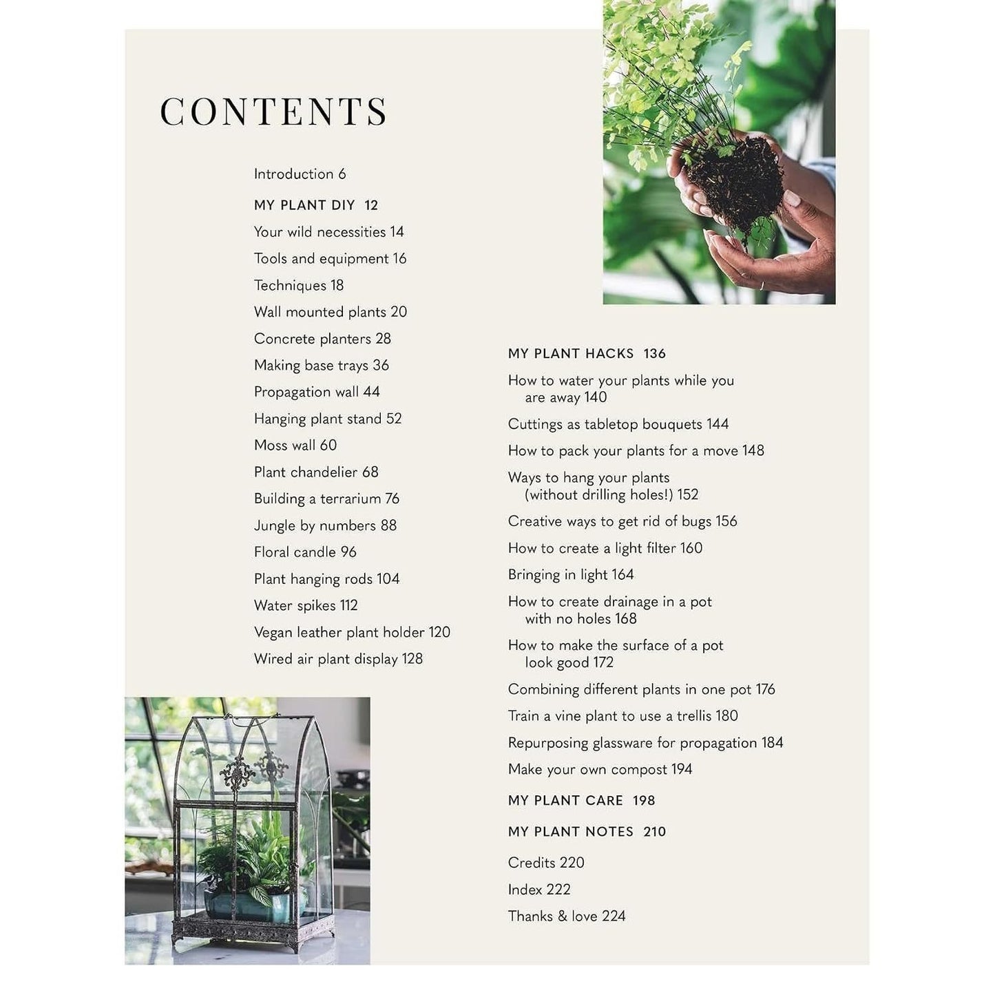 Wild Creations: Inspiring Projects to Create Plus Plant Care Tips & Styling Ideas for Your Own Wild Interior