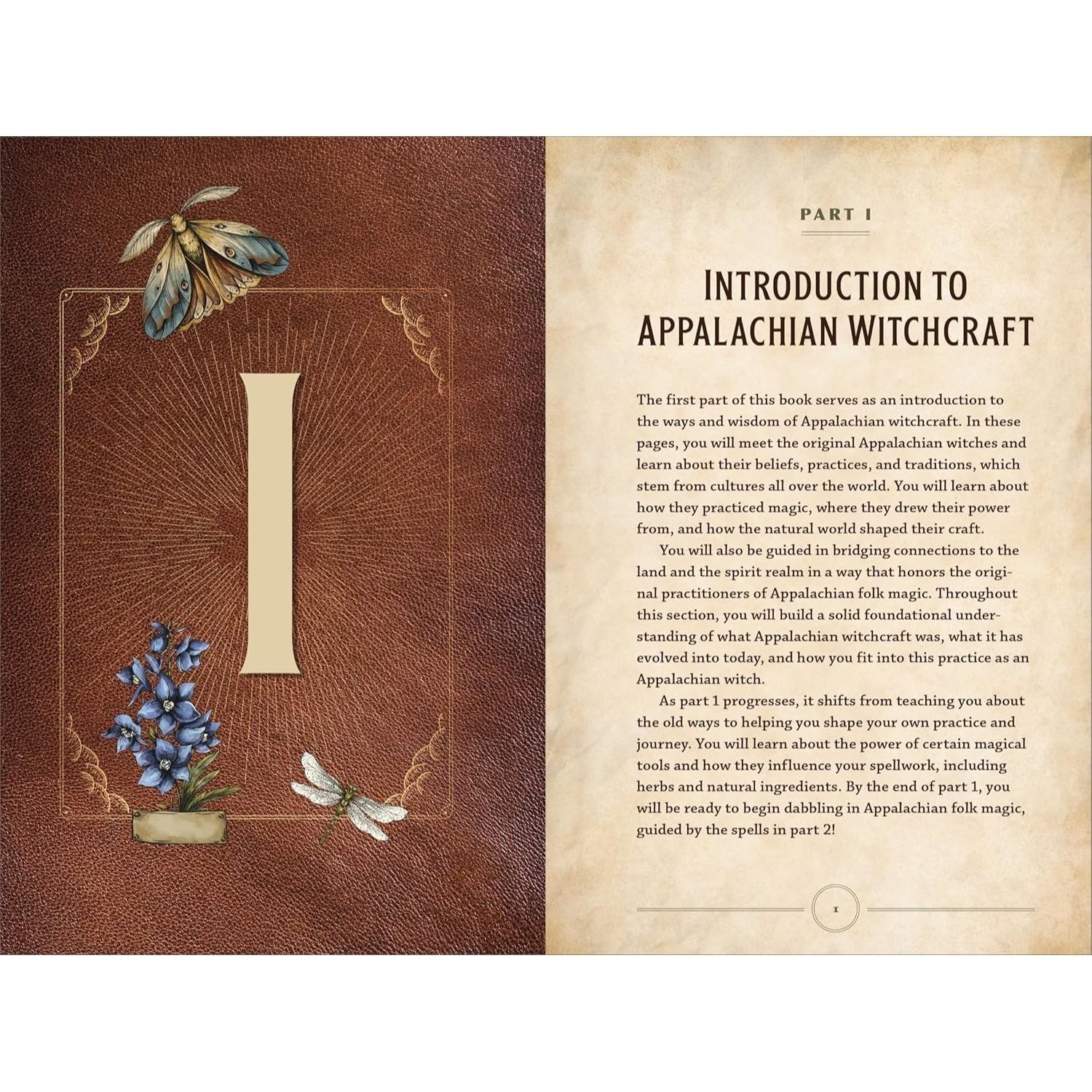 Appalachian Witchcraft for Beginners: The History, Remedies, and Spells of a Rich Folk Magic Tradition