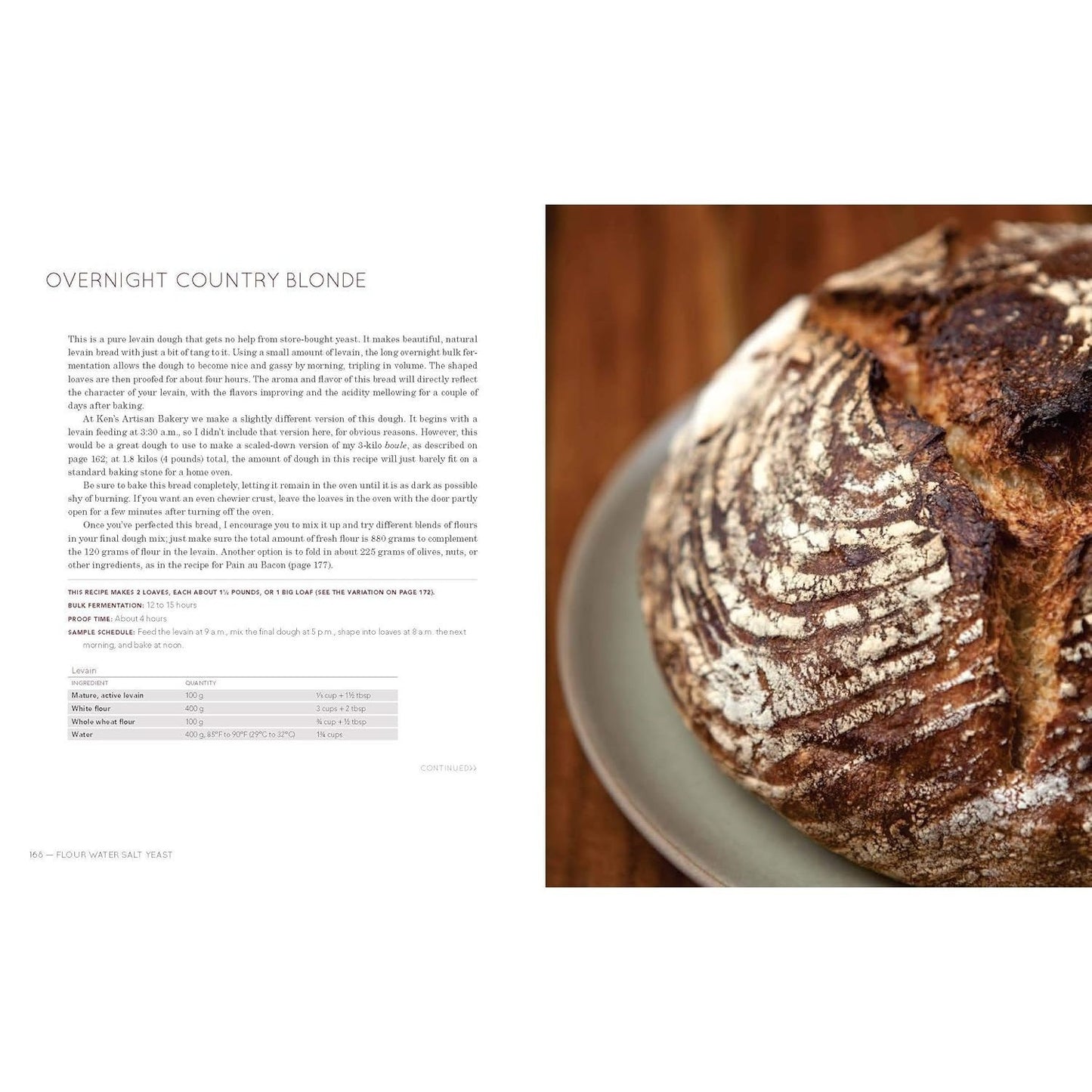 Flour Water Salt Yeast: The Fundamentals of Artisan Bread and Pizza [A Cookbook] (Spiral Bound)