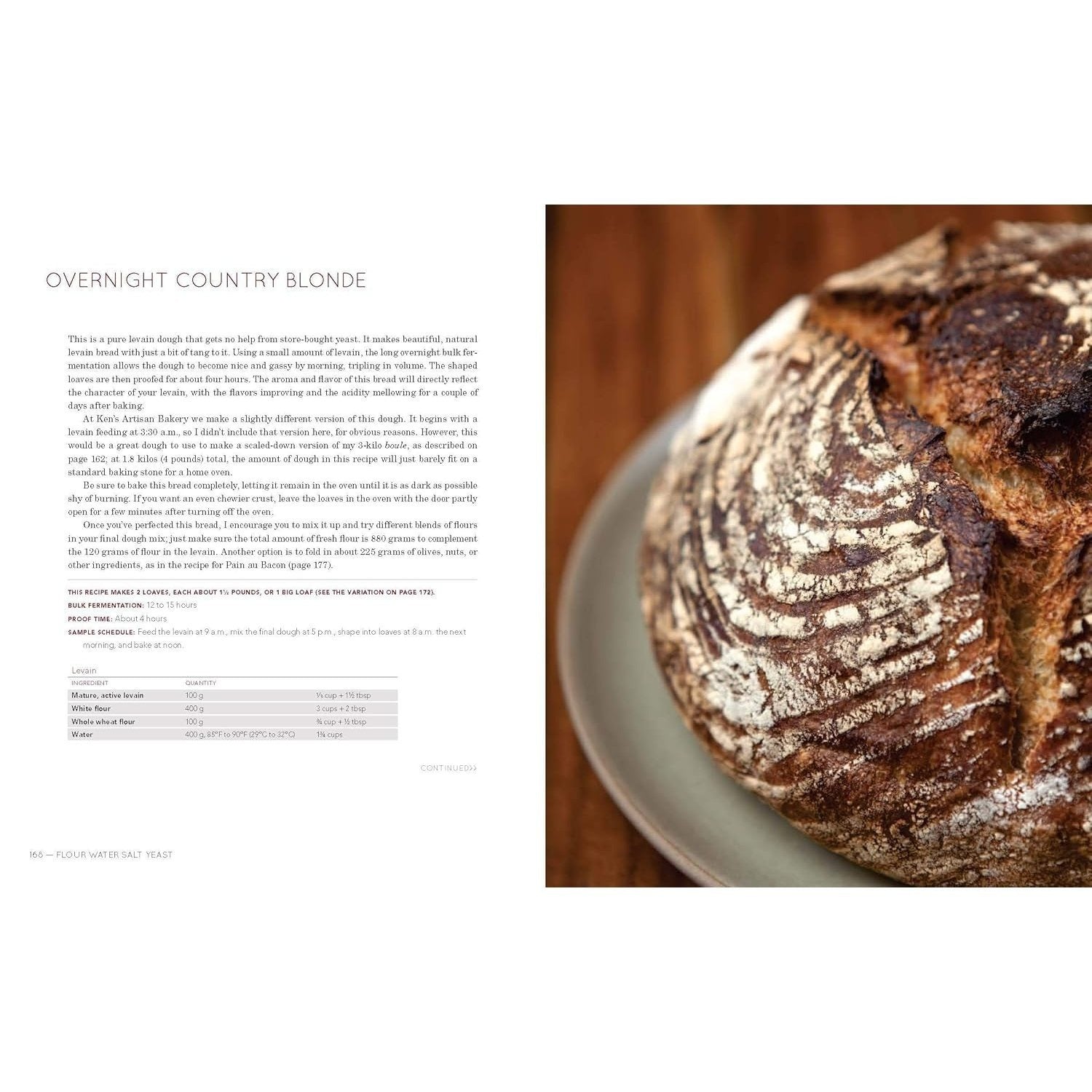 Flour Water Salt Yeast: The Fundamentals of Artisan Bread and Pizza [A Cookbook] (Spiral Bound)