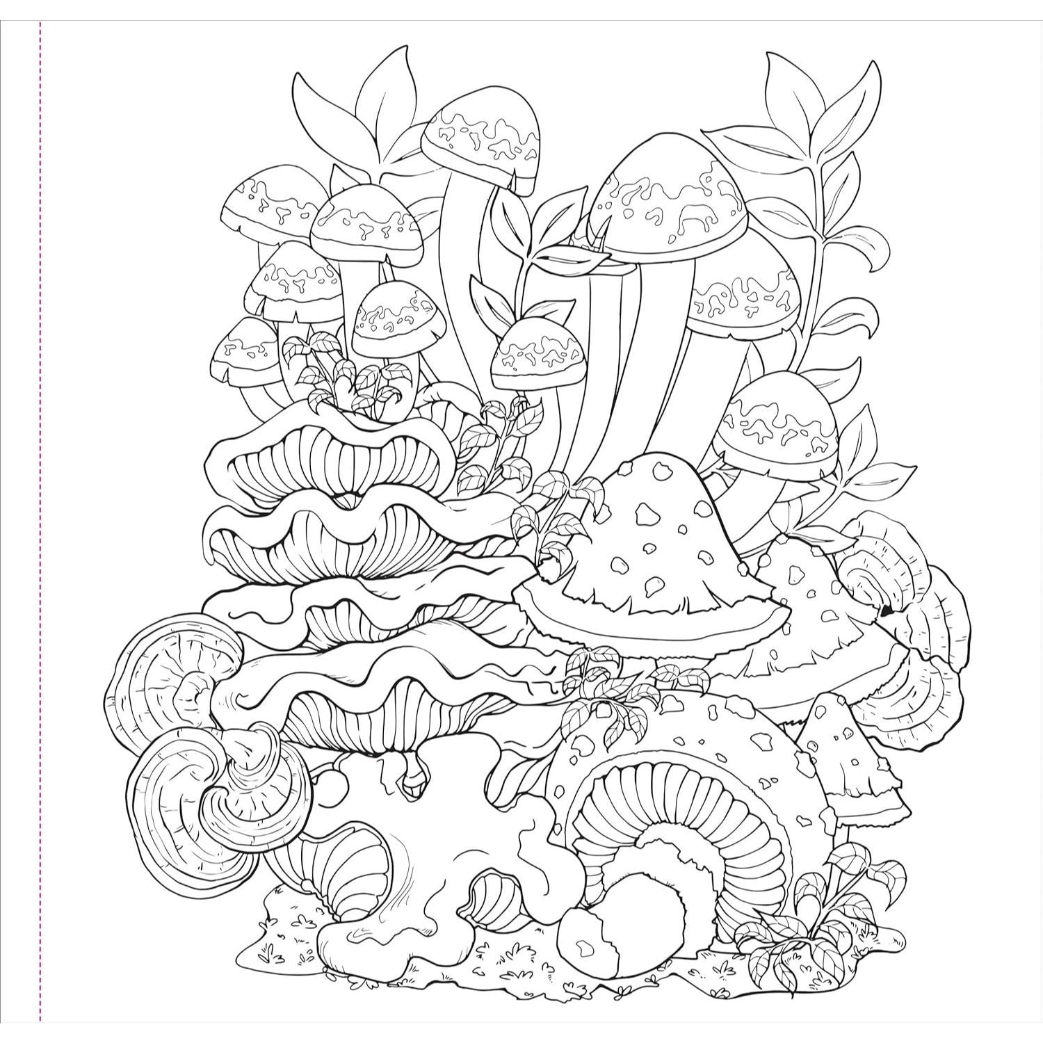 Mushrooms Adult Coloring Book (31 One-Sided Designs on Thick Paper)