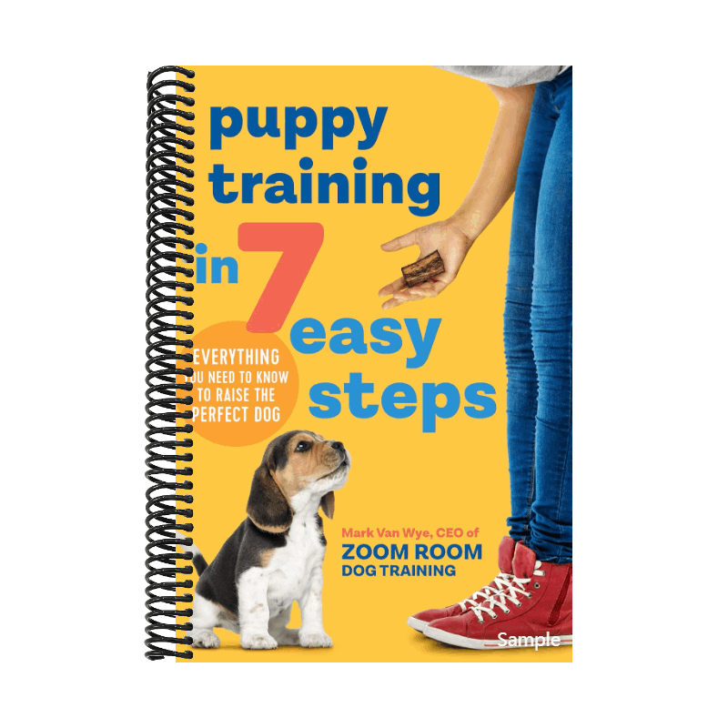 Puppy Training in 7 Easy Steps: Everything You Need to Know to Raise the Perfect Dog (Spiral Bound)