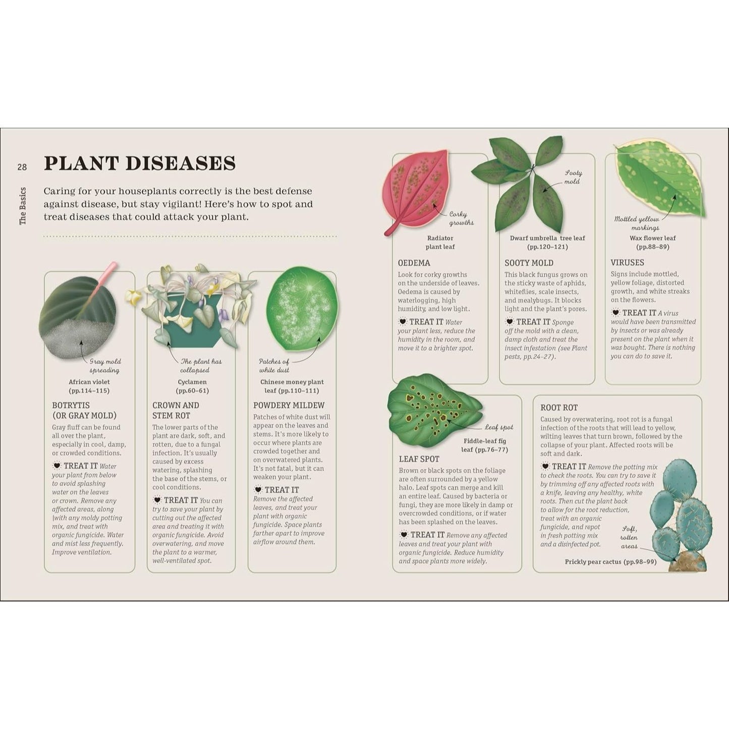 How Not to Kill Your Houseplant New Edition: Survival Tips for the Horticulturally Challenged