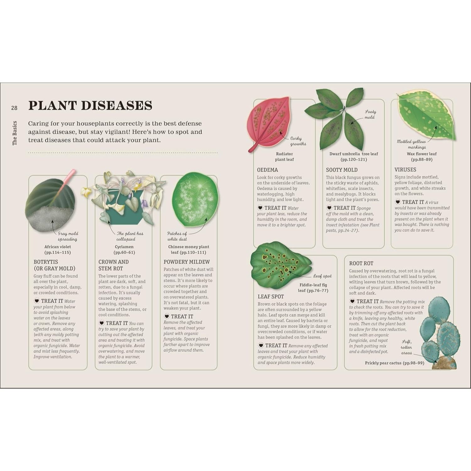 How Not to Kill Your Houseplant New Edition: Survival Tips for the Horticulturally Challenged