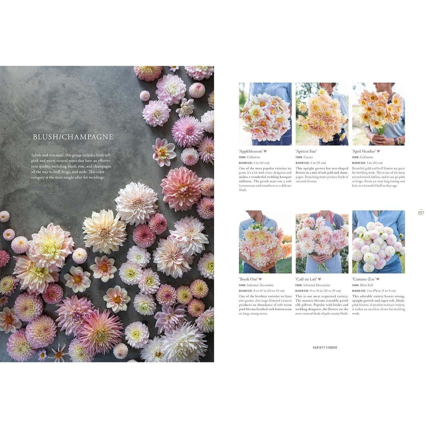 Floret Farm's Discovering Dahlias: A Guide to Growing and Arranging Magnificent Blooms