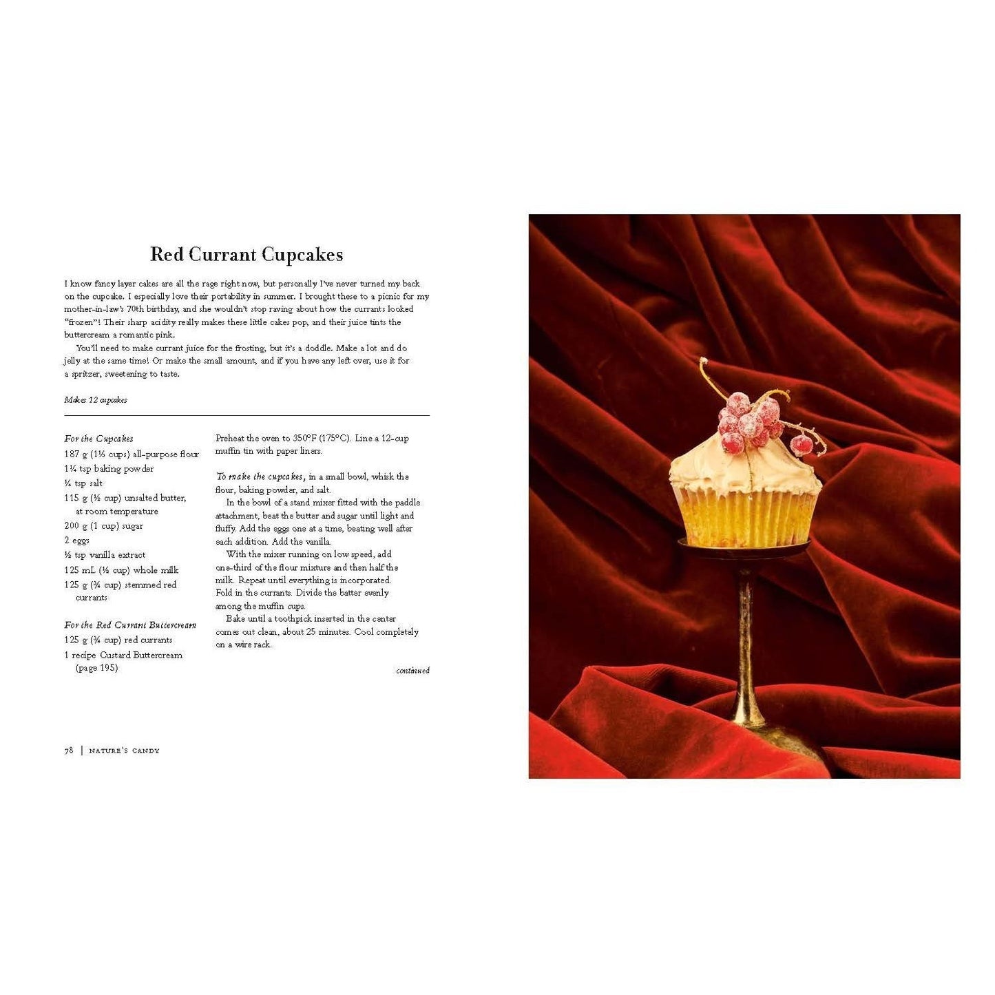 Nature's Candy: Timeless and Inventive Recipes for Creating and Baking with Candied Fruit (Spiral Bound)