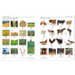 Mandarin Chinese - English Bilingual Visual Dictionary