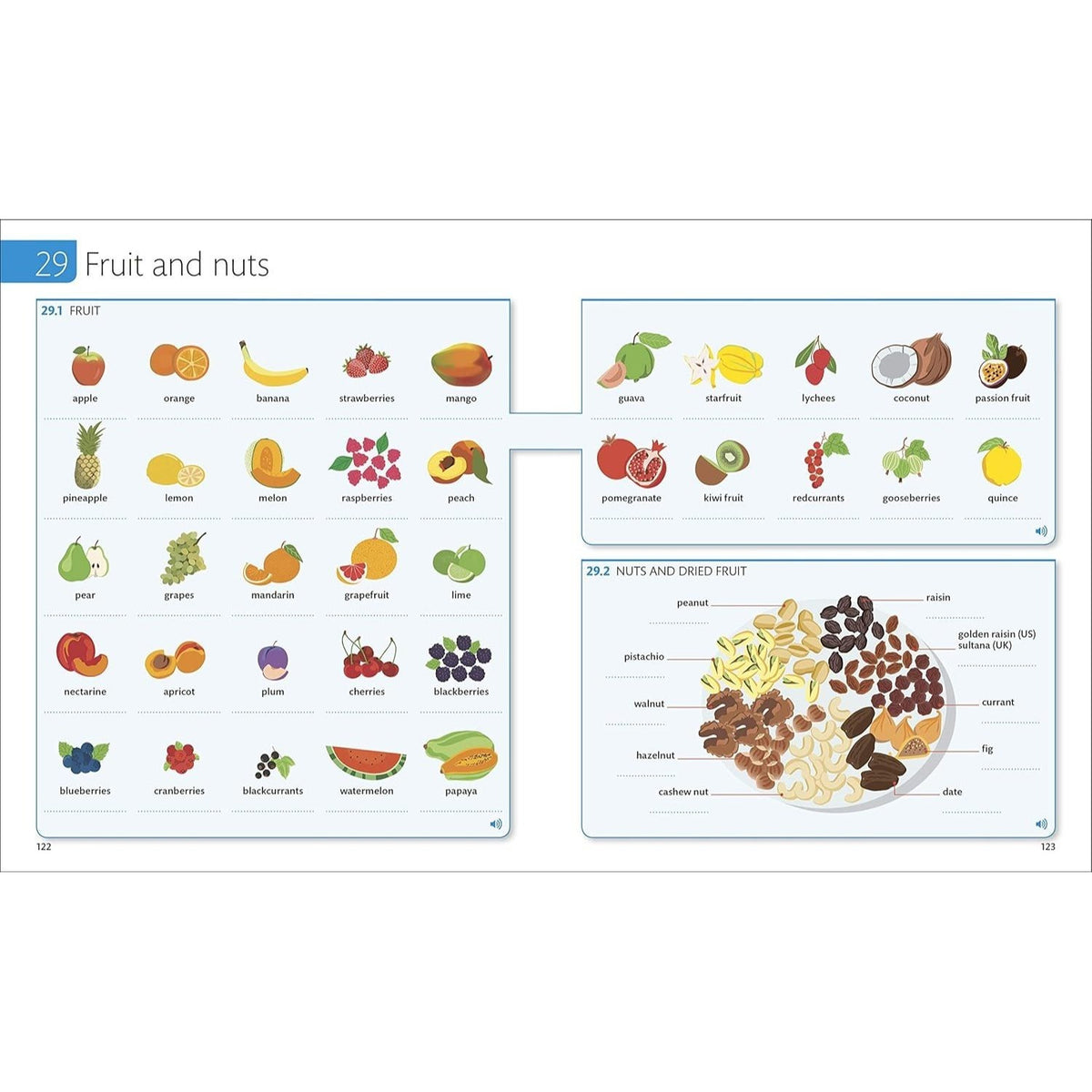 English for Everyone: English Vocabulary Builder (DK English for Everyone) (Spiral Bound)