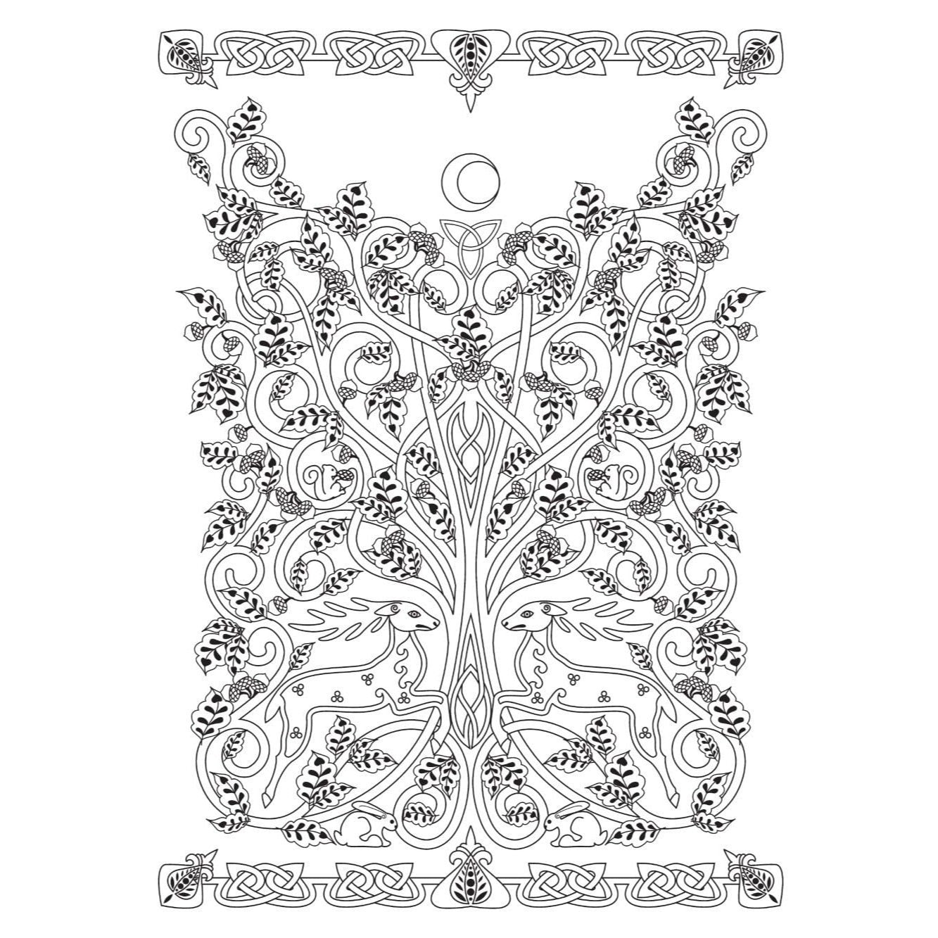 Creative Haven Celtic Nature Designs Coloring Book