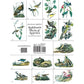 Audubon's Birds of America Coloring Book