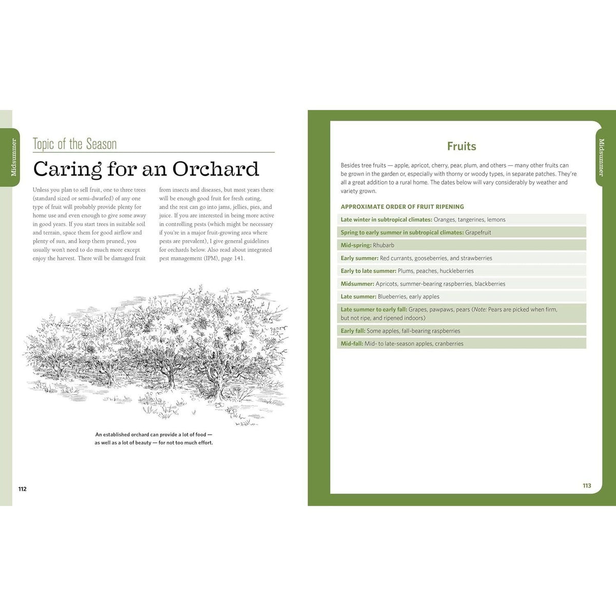 The Backyard Homestead Seasonal Planner: What to Do & When to Do It in the Garden, Orchard, Barn, Pasture & Equipment Shed (Backyard Homestead) (Spiral Bound)