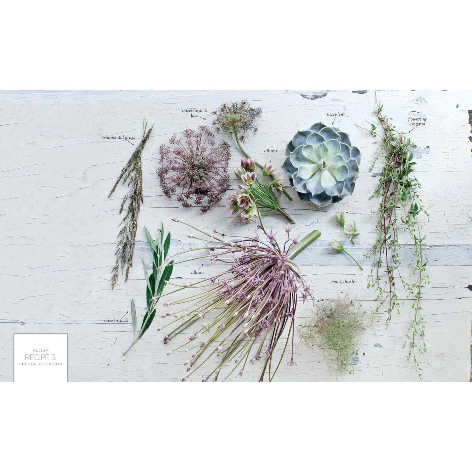 The Flower Recipe Book: 100 Magical, Sculptural, Seasonal Arrangements (Spiral Bound)