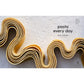 Pasta Every Day: Make It, Shape It, Sauce It, Eat It